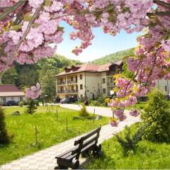 Гостиница Bogolvar Eco Resort & Spa фото 14