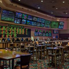 Отель Fiesta Henderson Hotel and Casino США, Хендерсон - отзывы, цены и фото номеров - забронировать отель Fiesta Henderson Hotel and Casino онлайн гостиничный бар фото 2