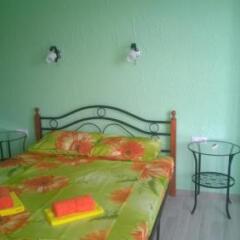 Гостиница Alpic Guest House фото 19