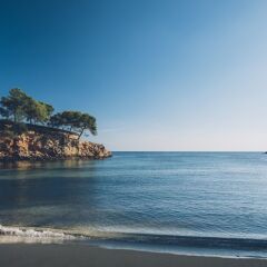 Отель Iberostar Grand Portals Nous - Adults Only фото 4