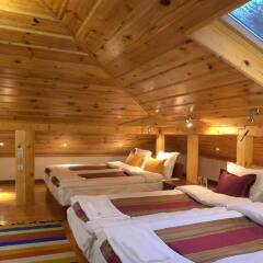 Отель Dragneva Guest House Болгария, Чепеларе - отзывы, цены и фото номеров - забронировать отель Dragneva Guest House онлайн комната для гостей фото 2