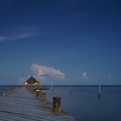 Отель Desire Riviera Maya Pearl Resort All Inclusive- Couples Only фото 3