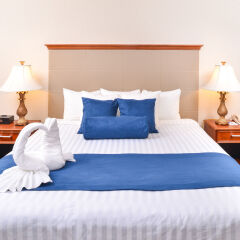Отель Comfort Inn & Suites Downtown Tacoma США, Такома - отзывы, цены и фото номеров - забронировать отель Comfort Inn & Suites Downtown Tacoma онлайн комната для гостей фото 2