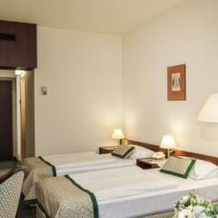 Hotel Hungaria City Center детские мероприятия фото 2