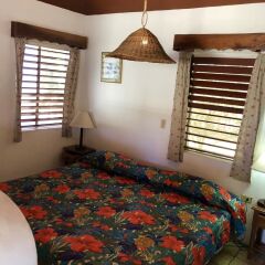 Sunflower Villas in Runaway Bay, Jamaica from 191$, photos, reviews - zenhotels.com room amenities photo 2