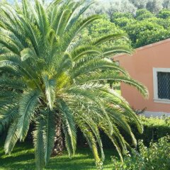 Отель Agriturismo Limoneto Сиракуза фото 4