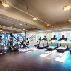 Отель Pinnacle Hotel Harbourfront Канада, Ванкувер - отзывы, цены и фото номеров - забронировать отель Pinnacle Hotel Harbourfront онлайн фитнесс-зал