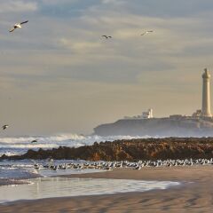 Four Seasons Hotel Casablanca пляж