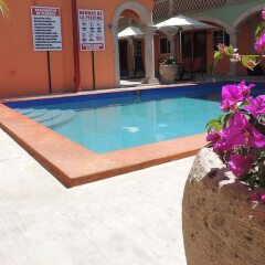 Отель Cactus Inn Los Cabos Мексика, Эль-Бедито - отзывы, цены и фото номеров - забронировать отель Cactus Inn Los Cabos онлайн бассейн фото 2
