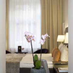 Elite Hotel Adlon фитнесс-зал