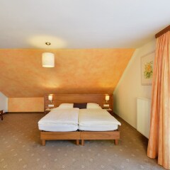 Отель EB Hotel Garni Австрия, Зальцбург - 1 отзыв об отеле, цены и фото номеров - забронировать отель EB Hotel Garni онлайн комната для гостей фото 3