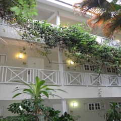 Отель Altamont Court Hotel Ямайка, Кингстон - отзывы, цены и фото номеров - забронировать отель Altamont Court Hotel онлайн фото 2