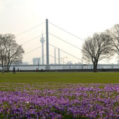 Отель InterContinental Düsseldorf фото 3