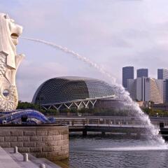 Отель The St. Regis Singapore фото 7