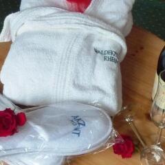 Отель Akzent Waldhotel Rheingau фото 10