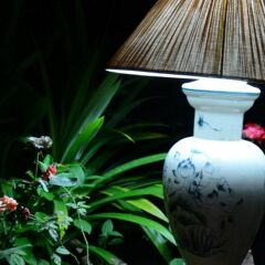 Отель Viet House Homestay фото 11
