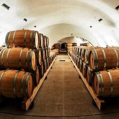 Отель Quinta do Vallado Португалия, Пезу-да-Регуа - отзывы, цены и фото номеров - забронировать отель Quinta do Vallado онлайн развлечения