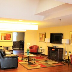 Отель Best Western Auburn/Opelika Inn США, Опелика - отзывы, цены и фото номеров - забронировать отель Best Western Auburn/Opelika Inn онлайн комната для гостей фото 4
