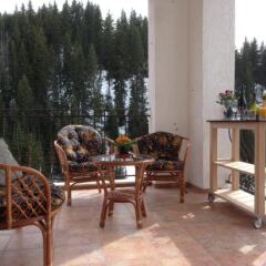 Отель Stoikite House Apartments Болгария, Чепеларе - отзывы, цены и фото номеров - забронировать отель Stoikite House Apartments онлайн фото 6