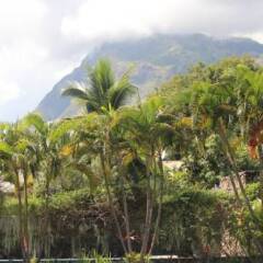 Отель My Place In Tahiti Французская Полинезия, Пунаауиа - отзывы, цены и фото номеров - забронировать отель My Place In Tahiti онлайн фото 2