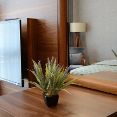 Teknosports Otel Турция, Стамбул - отзывы, цены и фото номеров - забронировать отель Teknosports Otel онлайн удобства в номере