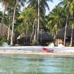 Pension Alice & Raphael in Bora Bora, French Polynesia from 305$, photos, reviews - zenhotels.com beach photo 3
