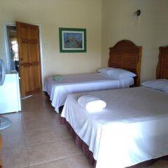 Mill House Guesthouse in Nevis, St. Kitts and Nevis from 157$, photos, reviews - zenhotels.com