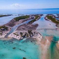 Отель Hakamanu Lodge Французская Полинезия, Тикехау - отзывы, цены и фото номеров - забронировать отель Hakamanu Lodge онлайн бассейн
