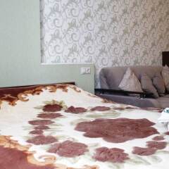 Гостиница LOFT STUDIO Yubileyny 63 в Реутове отзывы, цены и фото номеров - забронировать гостиницу LOFT STUDIO Yubileyny 63 онлайн Реутов комната для гостей фото 2
