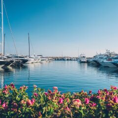Отель Iberostar Grand Portals Nous - Adults Only фото 3