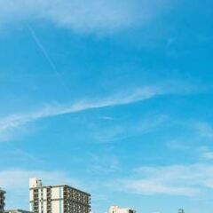 Отель Ocean 22 by Hilton Grand Vacations фото 4