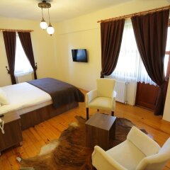 NeSS Abant Butik Hotel Турция, Болу - отзывы, цены и фото номеров - забронировать отель NeSS Abant Butik Hotel онлайн комната для гостей фото 2