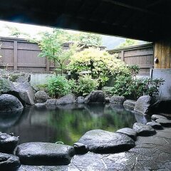 Отель Hasuwa Inn Хидзи бассейн фото 3