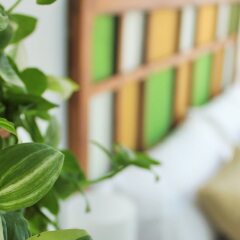 Отель Apartamentos Barracart с домашними животными