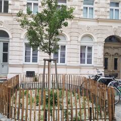 Отель Amazing flat near the center Вена