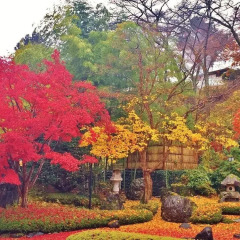 Отель Aizu Ashinomaki Onsen Hanare Япония, Айдзувакамацу - отзывы, цены и фото номеров - забронировать отель Aizu Ashinomaki Onsen Hanare онлайн фото 2