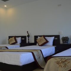 Отель Hoian Succulent Homestay комната для гостей фото 4