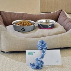 Отель Sol Beach House Mallorca - Adult Only в номере фото 2