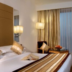 Отель Park Inn Jaipur комната для гостей фото 2