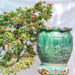 Отель Bonsai Homestay Хойан фото 20