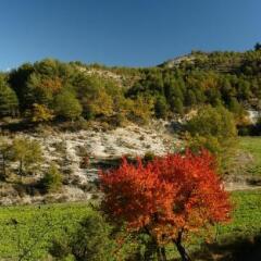Hotel Tierra Buxo - Adults Only фото 4