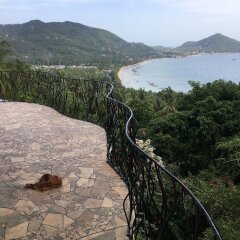 Отель Monkey Flower Villas пляж фото 2
