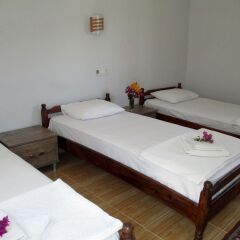 Eucalyptus Pension Турция, Патара - отзывы, цены и фото номеров - забронировать отель Eucalyptus Pension онлайн детские мероприятия фото 2