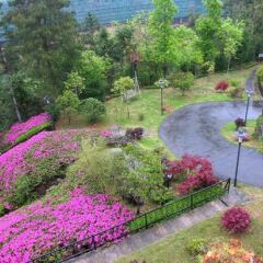 Отель The Jinggangshan Holy Land Resort фото 5