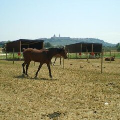 Отель Conero Ranch Италия, Порто Реканати - отзывы, цены и фото номеров - забронировать отель Conero Ranch онлайн фото 3