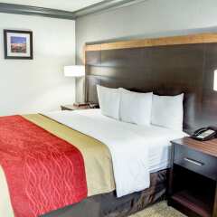 Отель Comfort Inn And Suites Near Universal Studios Лос-Анджелес комната для гостей