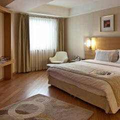 Anemon Afyon Spa Hotel & Convention Center Афьонкарахисар комната для гостей фото 4