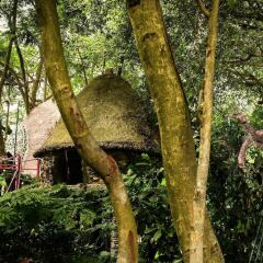 Отель Dao Anh Khanh Treehouse Ханой фото 9