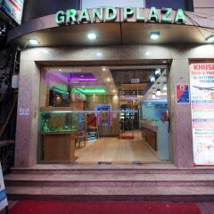 Отель Grand Plaza Индия, Нью-Дели - отзывы, цены и фото номеров - забронировать отель Grand Plaza онлайн фото 10