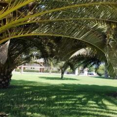 Отель 99 Palms Inn & Suites фото 13